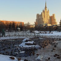 пережить зиму :: Олег Лукьянов