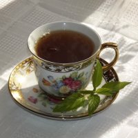 Чай с мятой. :: Нина Андронова