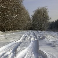 заснеженная дорога :: оксана 