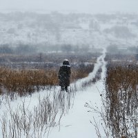 Зарисовки зимние. Однажды в декабре... :: Александр Резуненко