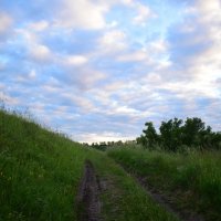 Дорога к облакам. :: Елена Иванова