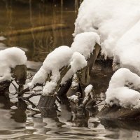 снег и вода :: Александр 