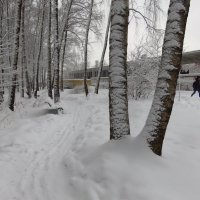 Настоящая зима в Москве :: Андрей Лукьянов