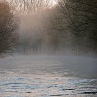 На реке туман :: Alexander Andronik