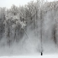 снег :: Михаил Бибичков