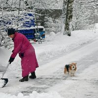 Маленькая помощница! :: Татьяна Помогалова