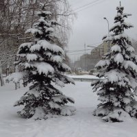 Настоящая зима пришла в последний день января :: Андрей Лукьянов