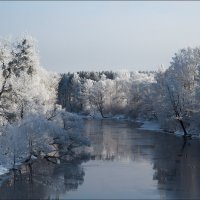 Снежная зима :: Елена Ерошевич