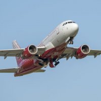 A 319 :: Олег Савин