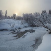 **** :: Дамир Белоколенко