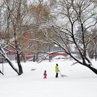 Окончен бал январский! :: Татьяна Помогалова