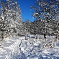 Зима :: Владимир Холодницкий