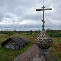 Купол Введенской часовни в деревне Рыжково :: Александр Кафтанов