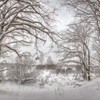 *** :: Николай Андреев