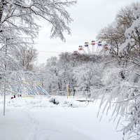 В зимнем парке :: Сергей Тарабара