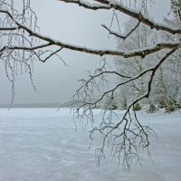 *** :: Анжела Пасечник