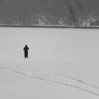 Одинокий лыжник :: Александр 
