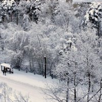 ..и выпало половина месячной нормы... :: ВАЛЕРИЙ 