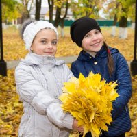 осеннее настроение :: Александр Заяц