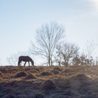 Предгорье :: Татьяна Сазонова