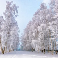 заморозило :: Александр Есликов