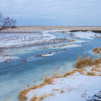 Февральский пейзаж :: Любовь Потеряхина