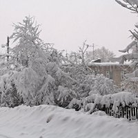 Вчерашний снегопад :: Лара (АГАТА)