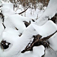 Пенёк в снегу :: Татьяна Королёва
