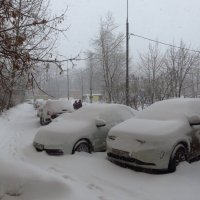 Свершилось: в Москве - настоящий снег! :: Андрей Лукьянов