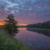 У клязьминской излучины. :: Igor Andreev