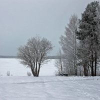 *** :: Анжела Пасечник