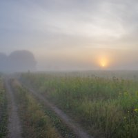 В тумане летнего восхода. :: Igor Andreev