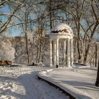 В зимнем парке :: Виктор Позняков