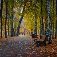 Осенний парк :: Михаил Танин 