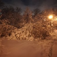 Москва.Вечер в Петровском парке :: Владимир Прокофьев