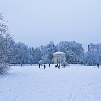 Екатерингофский парк на фоне зимы. :: Senior Веселков Петр