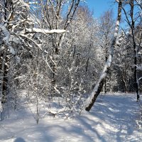 Зима :: Владимир Холодницкий