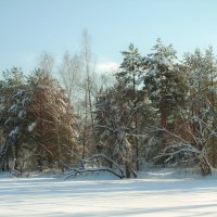 Зима :: Obukhov Stanislav 