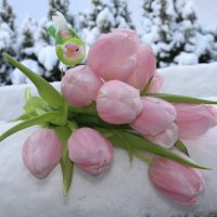 Тюльпаны... :: Mariya laimite