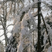 Зима, снег :: Вячеслав 
