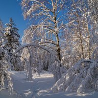 Февральское утро :: Андрей Дворников