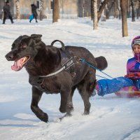 Увезу тебя я в тундру! :: Константин Еськин