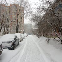 зима :: Валерий Самородов