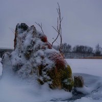 Закованный в лед островок :: Сергей Шаталов