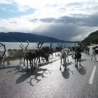 По дорогам Норвегии :: Валерия Яскович
