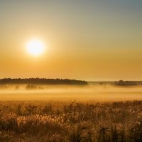 Как облака с неба на землю убежали. :: Andrei Dolzhenko