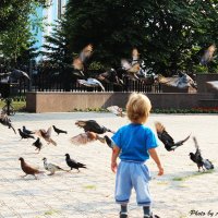 Мальчик и голуби :: Богдан Антоненко