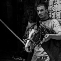 лошадь :: Andrey Volovich