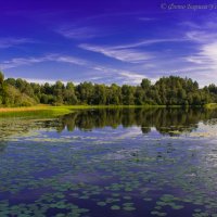 Озеро :: Борис Устюжанин
