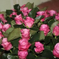 Розы :: Anfisa Arkadevna